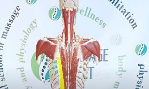 Знімок екрана 2024-12-19 184336