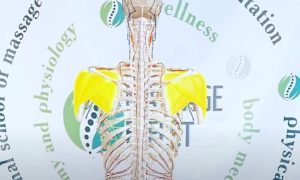 Знімок екрана 2024-12-19 184410