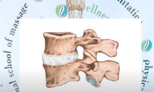 Знімок екрана 2024-12-19 184435