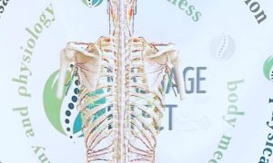 Знімок екрана 2024-12-19 184452