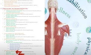 Знімок екрана 2024-12-19 184521