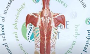 Знімок екрана 2024-12-19 184542