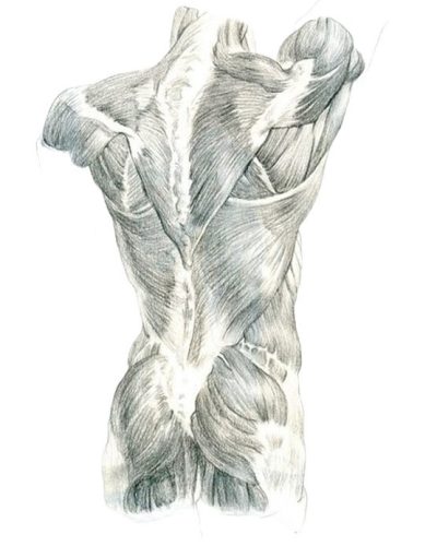 антонина-2017-г16-715x1030-removebg-preview